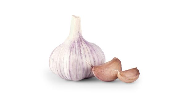 专家研究表明:不吃香菜和大蒜，心衰或能得到显著改善？