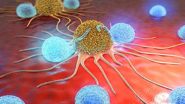 免疫力是战胜病毒的最好武器，但增强免疫力关键不靠运动，而靠它