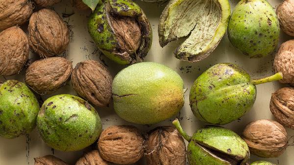 大脑“偏爱”的7种食物,核桃未上榜,人过50后,不妨多吃点