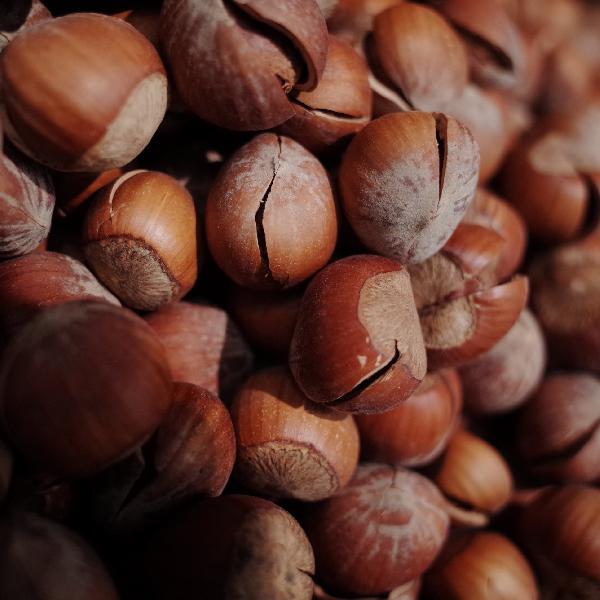 瓜子是痛风的“诱发剂”？提醒：不想痛风找上门，这些坚果要忌口