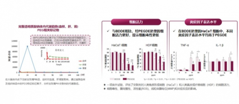 丝玫瑰PEG交联技术是什么？