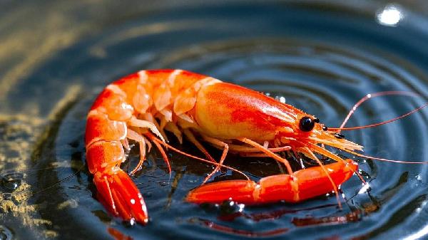 虾头里的神秘物质：是“屎”还是“黄”？关于虾的三个饮食禁忌