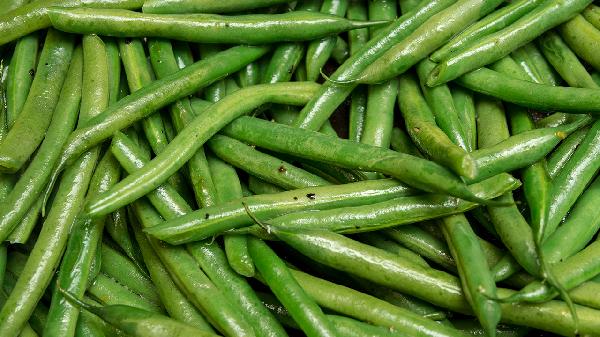 四季豆降血压有良效？提醒：了解4个益处、2个风险，吃错得不偿失