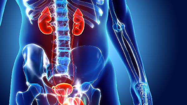 养肾就是养命！肾脏最爱的6种食物，建议男女老少都经常吃！