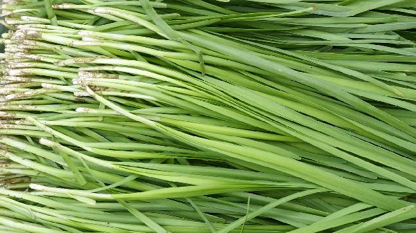 韭菜是结节的“加速剂”吗？消化科主任：不想结节癌变，少吃5物