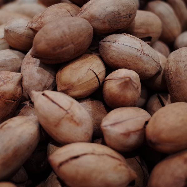 3种坚果伤肺!医生紧急提醒:老人千万别碰,越吃肺越糟