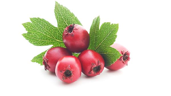 山楂搭陈皮煮水，老一辈留下来的传统做法，经济又实用