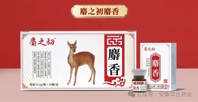 2025药博会盛大开幕，【华庄药业】闪耀盛会，精彩续航