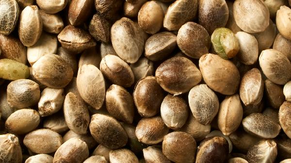 便秘吃火麻仁有用吗