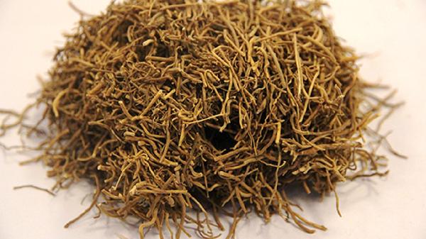 徐长卿为什么不能久煎