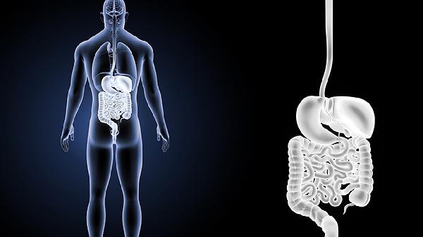 肠化2个加怎么治疗