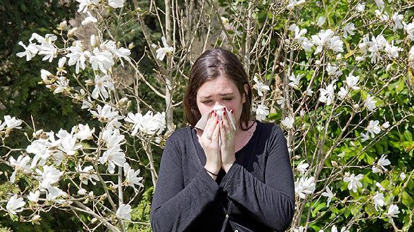 哪三种人不宜吃蜂花粉 哪些人不宜喝花粉