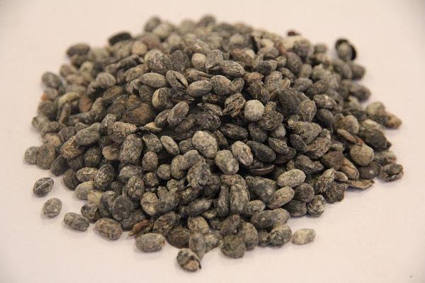 一般煎好的中药能放多久