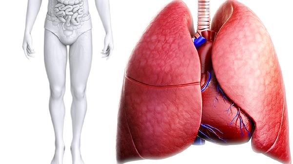 六年级肺活量6000正常吗