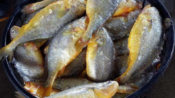 屁股肉多怎么办做什么运动