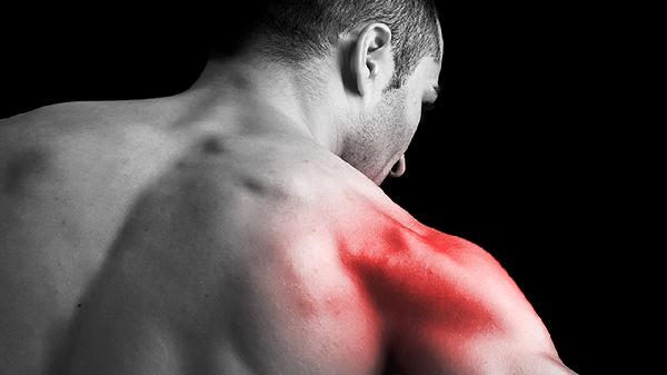 俯身飞鸟练背部还是肩部