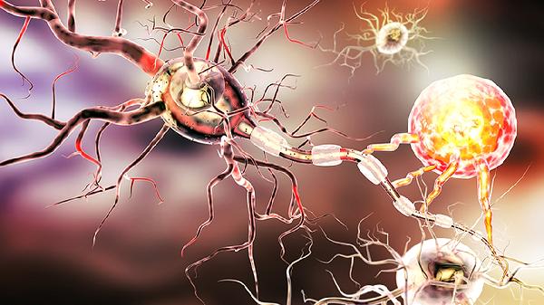 嗜酸性粒细胞为0.1严重吗