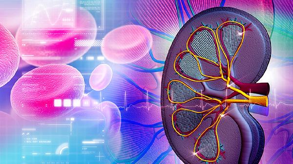 嗜酸性粒细胞0.04要紧吗