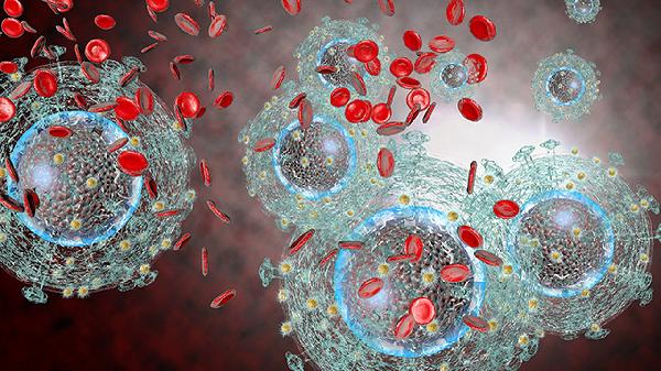 生殖道微生物检查是什么