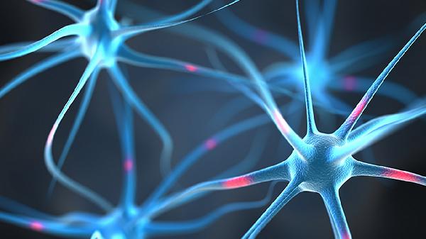 人疱疹病毒5型可以治好吗