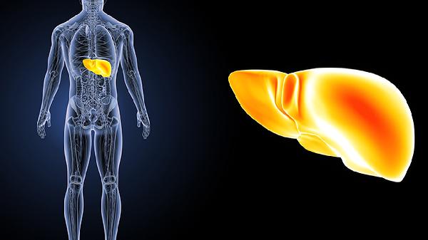 肝硬度16.9能恢复吗