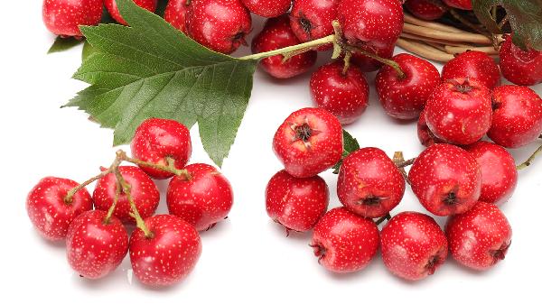 坚持用“山楂干”泡水，或会有5个好处“悄悄来到”，建议早了解