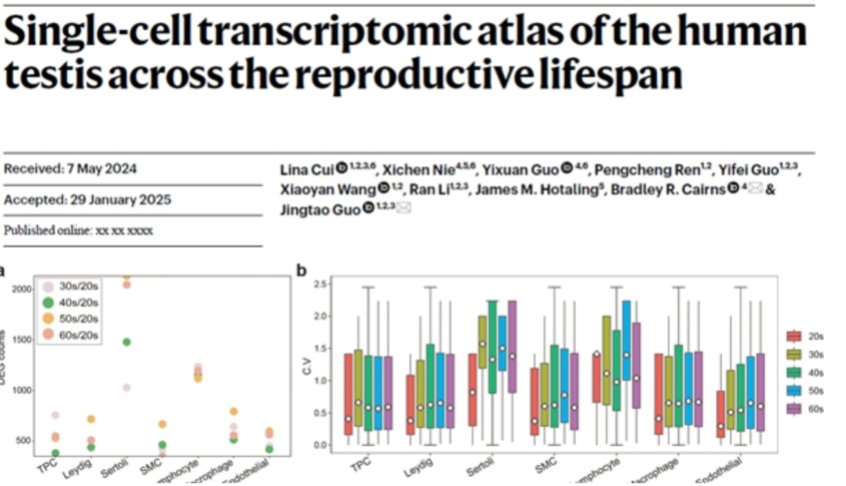 Cell子刊揭示睾酮衰退新机制,LAIFE「乐维源」守护男性健康