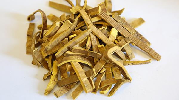黄柏的效果有哪些