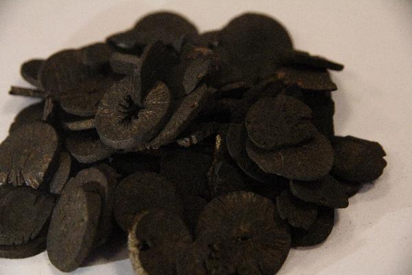 体内湿气重吃中药可以调理吗