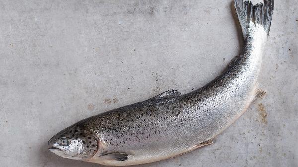 醉鱼草的效果有哪些