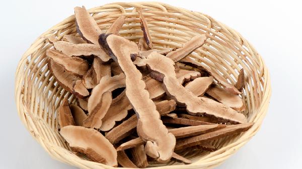 灵芝主治哪种疾病