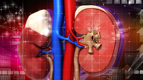61岁大婶患肾癌去世,平时睡眠充足爱遛弯,医生:3个毛病改不了