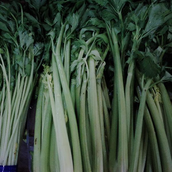 芹菜再引关注！医生研究：常吃芹菜或能收获这4大健康益处