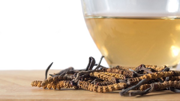 哪些人不宜食用冬虫夏草