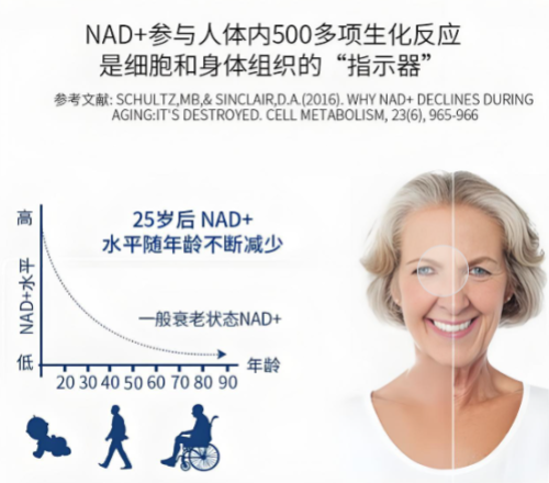 2025年女性NMN抗衰养颜哪个牌子最好？全球八大抗衰口服营养剂权威排行榜，第一名三井nmn