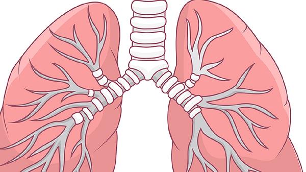 老人因肺气肿离世，医生痛心：这3种食物若吃太多后果严重