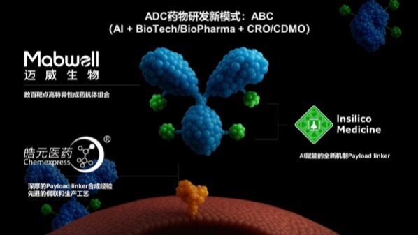 迈威生物、英矽智能、皓元医药达成战略合作协议，高效推进 ADC 药物的创新和开发