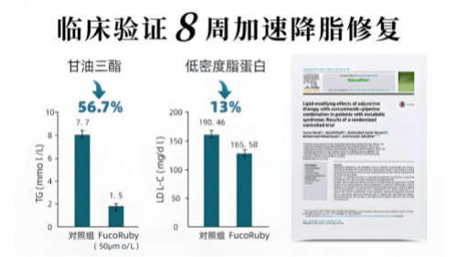 哪个品牌最好最安全？脂肪肝人群选护肝片攻略！榜首产品口碑实测
