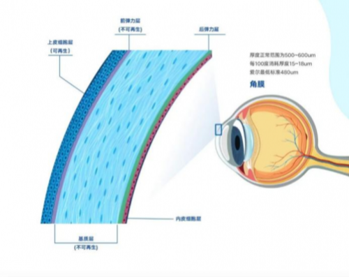 半飞秒激光和全飞秒激光有什么区别？今天一次性让你看懂！