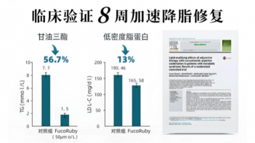 全球公认好的护肝片TOP10：科学甄选优质牌子，全方位守护肝脏健康