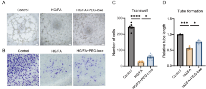 世界心脏日│首个国产原研 GLP-1RA 周制剂的心血管获益