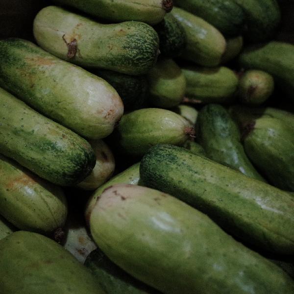 一糖尿病患者天天一碗黄瓜汤，之后去医院检查，医生：血糖很稳定