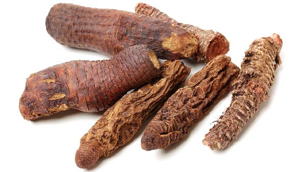 肉苁蓉有什么好处和坏处