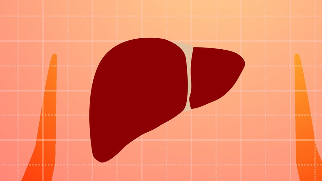 一旦出现这4个异常,说明肝硬化已经很严重了,需要尽快调养?