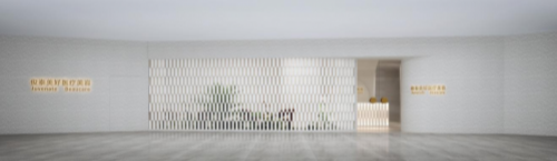 2025 年B超引导下馒化修复机构大揭晓