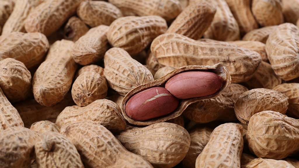 高尿酸花生或不能尝?医生提醒:不想躺病床,这几物要少吃