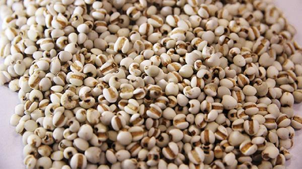 67岁男子每天用薏米煮茶喝,4个月后去体检,身体近况如何?