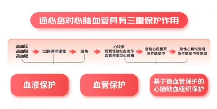 世界血栓日 | 警惕血管中的“路障”!守护血管健康,不让生命被“栓住”
