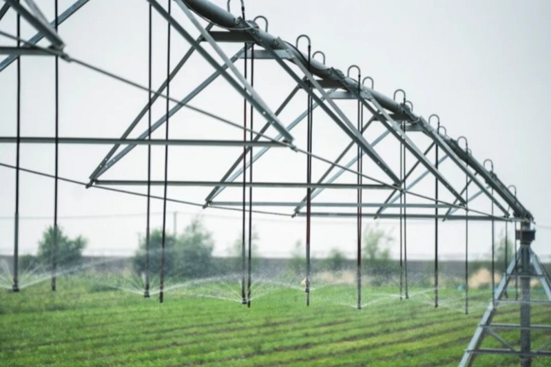 强化政企交流，共促蒙药振兴，兴安盟领导调研奥特奇蒙药发展