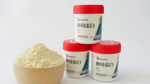 酵母蛋白：低嘌呤的高品质蛋白新选择酵母蛋白：低嘌呤的高品质蛋白新选择